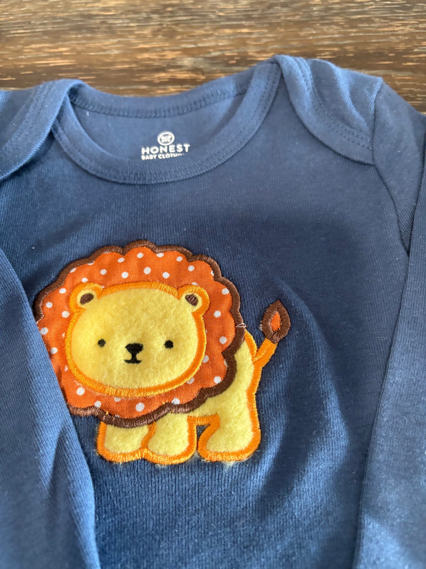 Custom Embroidered Onesies